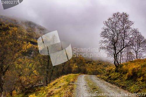 Image of Mountain road in rain