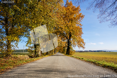 Image of rural Road in the autumn with yellow trees