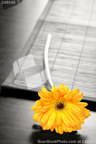 Image of Flower on Table