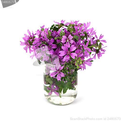 Image of wild violet flowers in glass jar