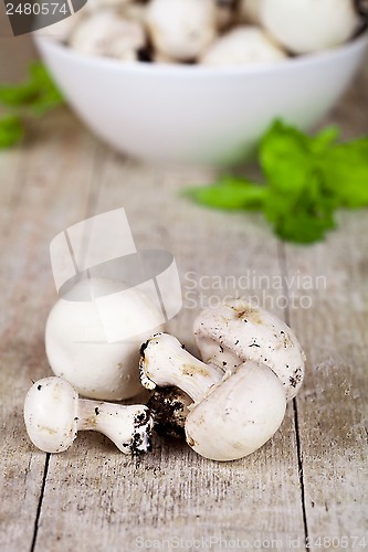 Image of  fresh champignons 