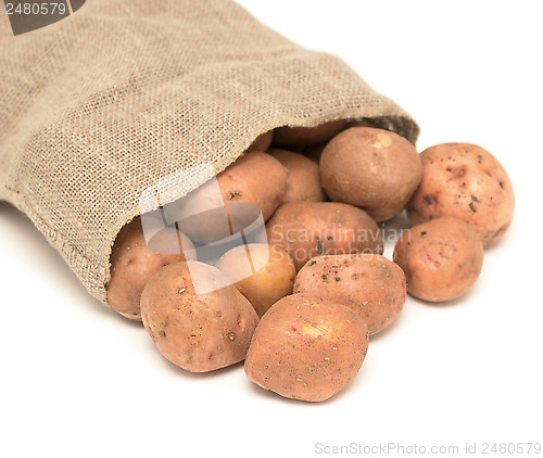 Image of potatoes and sack