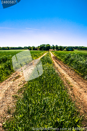 Image of Countryside road