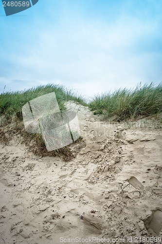 Image of Dune landscape