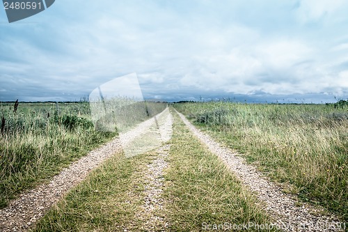 Image of Road in nature