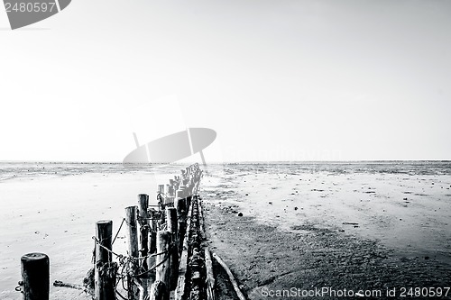 Image of Low tide beach