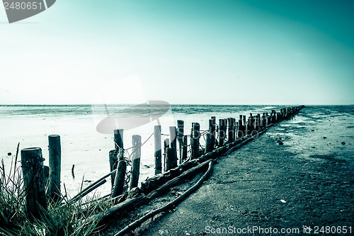 Image of Low tide beach