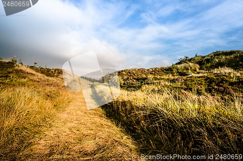 Image of Road in nature