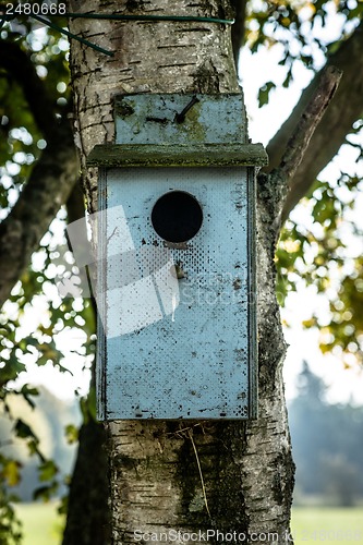 Image of Bird house