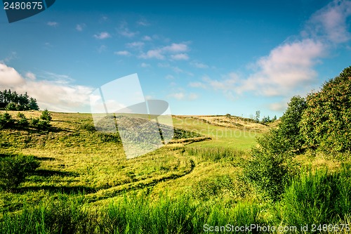 Image of Green fields