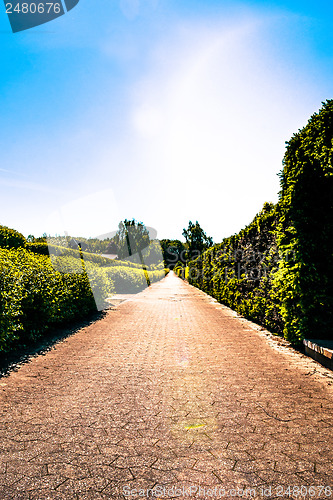 Image of Village path