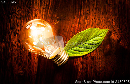 Image of Light bulb with a leaf