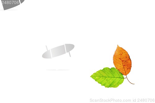 Image of Spring and autumn