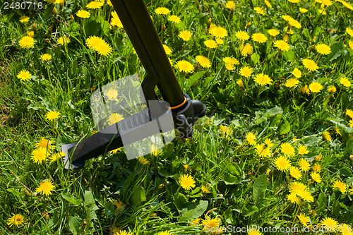 Image of Garden work