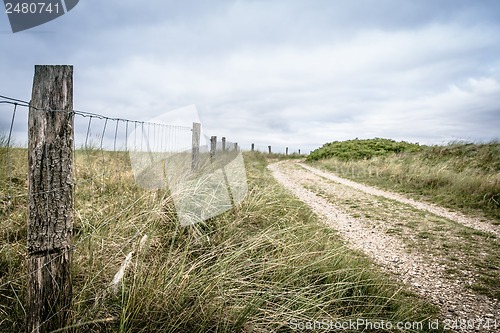 Image of Road in nature