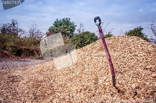 Image of Shovel in mulch