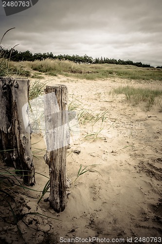 Image of Dunes at the beach