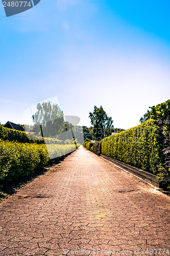 Image of Village path