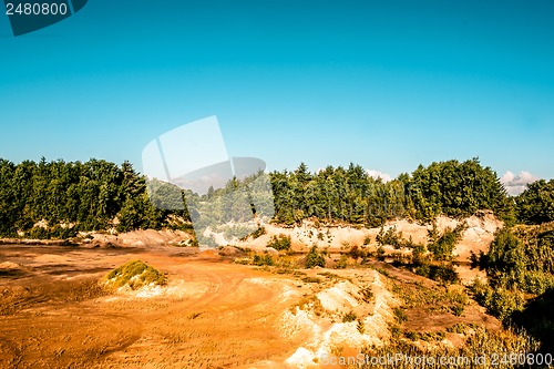 Image of Canyon and trees