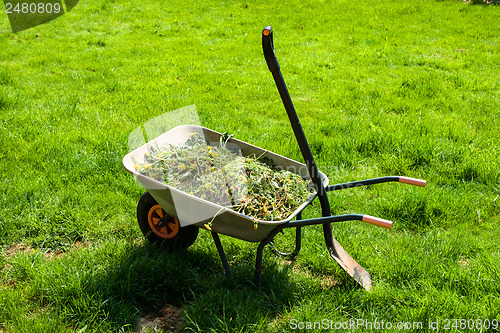 Image of Wheelbarrow on lawn