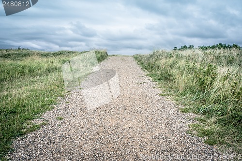 Image of Road in nature