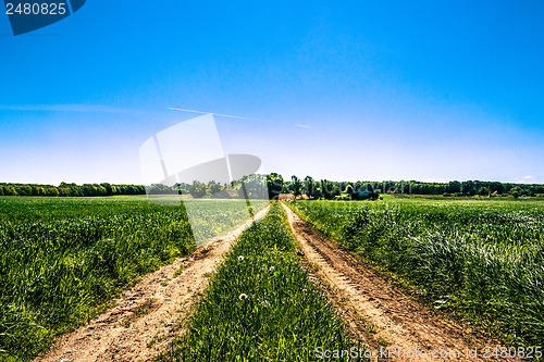 Image of Countryside road