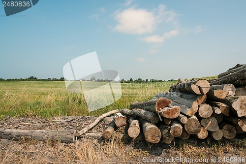 Image of Pile of wood