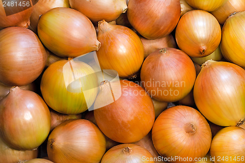 Image of Vegetables: a large number of large ripe Luke.