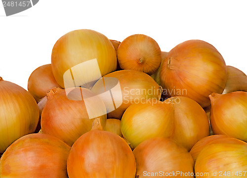 Image of Large onions onions on a white background.