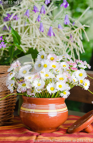 Image of Beautiful daisy flowers, close-up. Summer background