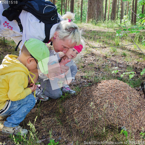 Image of The boy and the girl with the grandmother look at an ant hill