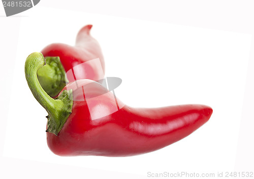 Image of Hot jalapeno peppers