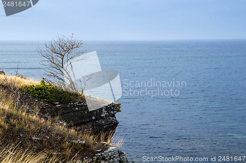 Image of Steep at coast