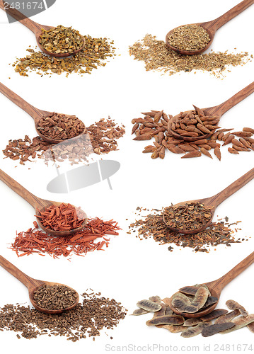 Image of Medicinal Herbs