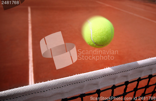 Image of 	Tennis balls on Court