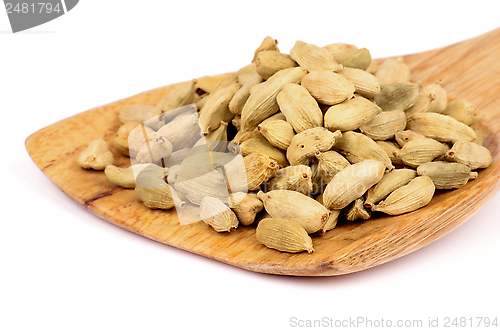 Image of Cardamom