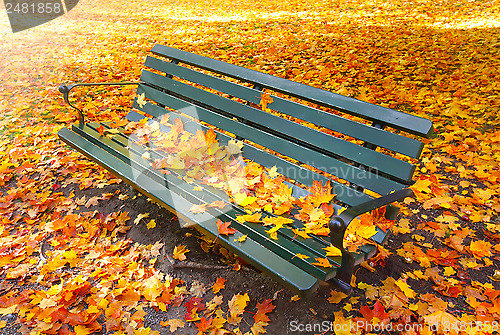 Image of vacant park bench in autumn