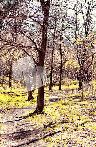 Image of autumn garden