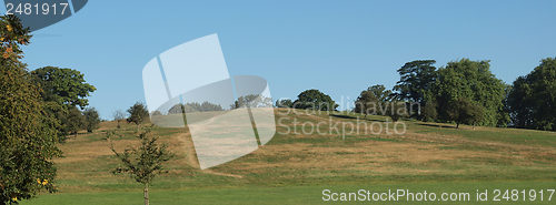 Image of Primrose Hill London