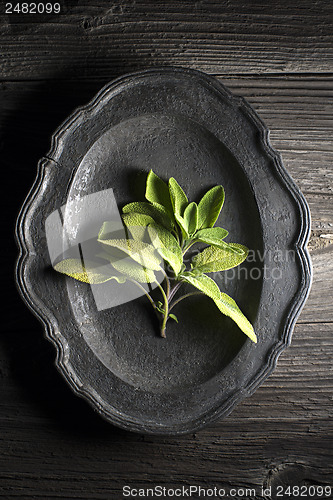Image of Sage