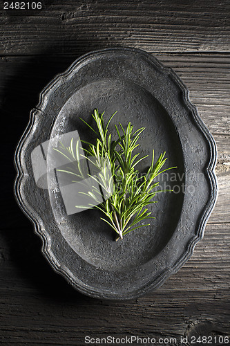Image of Rosemary