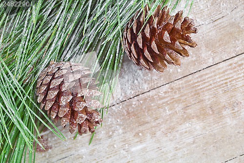 Image of christmas fir tree with pinecones 