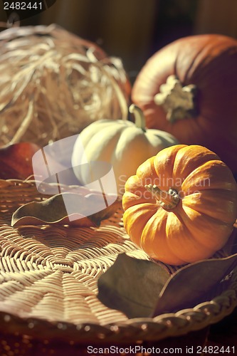 Image of Thanksgiving Background with Pumpkins. Retro card