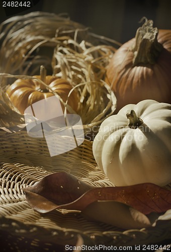 Image of Thanksgiving Background with Pumpkins. Retro card