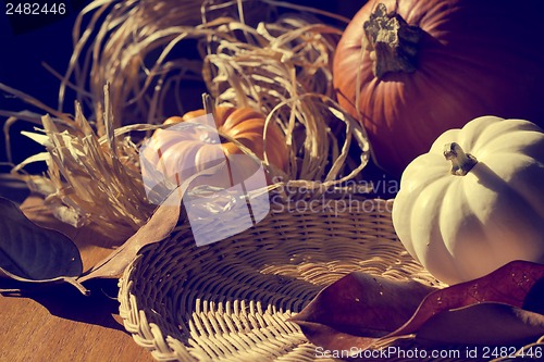 Image of Thanksgiving Background with Pumpkins. Retro card