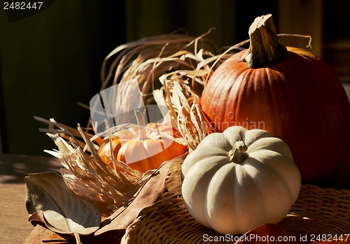 Image of Thanksgiving Background with Pumpkins. Retro card