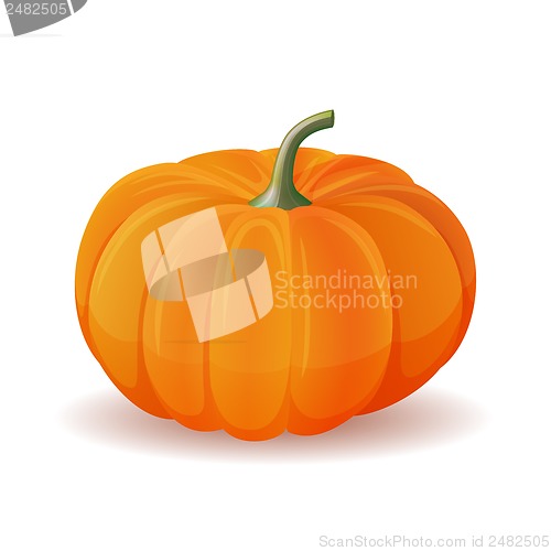 Image of Pumpkin isolated on white.