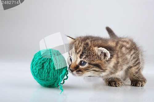 Image of little kitten playing with a woolball