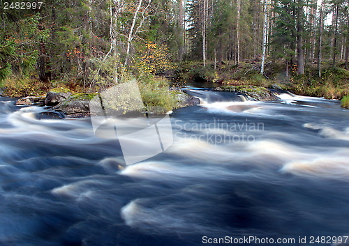 Image of Vekarus North-Karelia