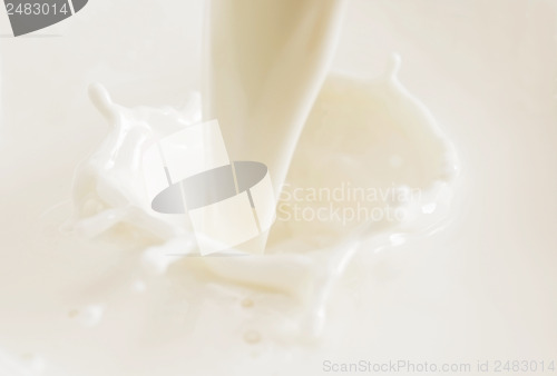 Image of milk splash
